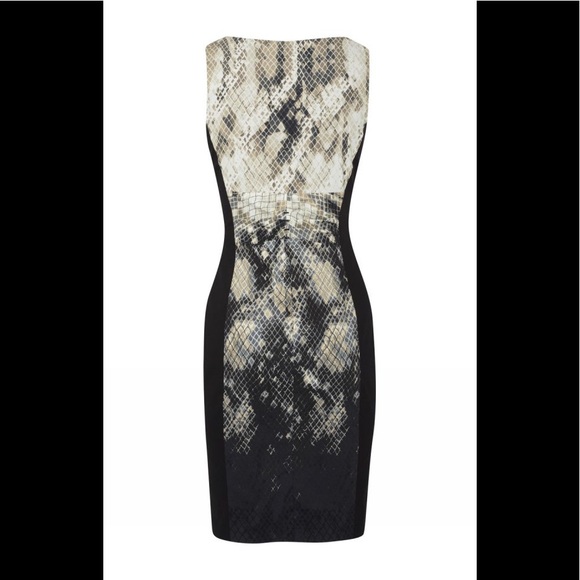 KAREN MILLEN Ombré Snake Print Pencil Dress 2 EU34 - Picture 6 of 8